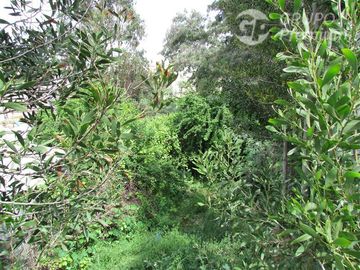 Casa en Venta en las violetas con parinacota