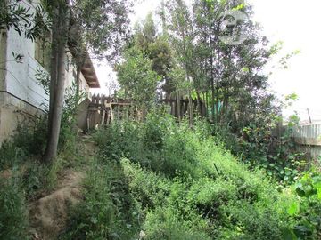 Casa en Venta en las violetas con parinacota