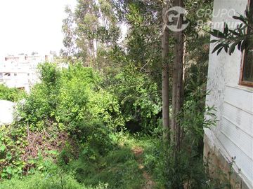 Casa en Venta en las violetas con parinacota