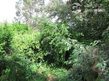 Casa en Venta en las violetas con parinacota
