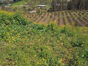 Se Vende Parcela con Hermosa Vista en Rautén, Quillota.