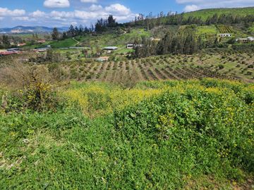Se Vende Parcela con Hermosa Vista en Rautén, Quillota.