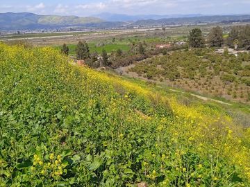 Se Vende Parcela con Hermosa Vista en Rautén, Quillota.