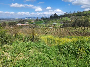Se Vende Parcela con Hermosa Vista en Rautén, Quillota.