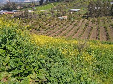 Se Vende Parcela con Hermosa Vista en Rautén, Quillota.