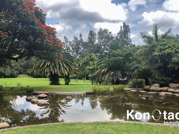 RANCHO EN VENTA EN TOTOLAPAN, MORELOS