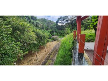 SE VENDE FINCA EN ARMENIA - CIRCASIA- QUINDIO
