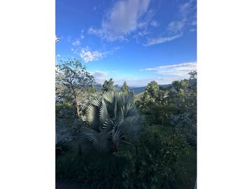 CASA CAMPESTRE VENTA MEDIO DAPA 600M2 4HB 6BÑ 7PQ AL