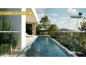 PROYECTO CANAN - LAMOS