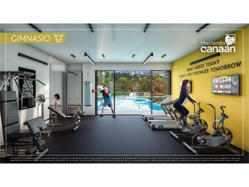 PROYECTO CANAN - LAMOS