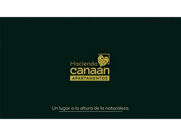 PROYECTO CANAN - LAMOS