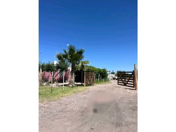 VENTA DE FINCA PRODUCTIVA Y COMPLETA 10 HAS EN PHILLIP, JUNIN, MENDOZA