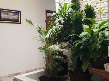 Venta de Casa de UN PISO en San Pedro Cholula 1,454m2 Terreno ZONA CENTRO UDLAP