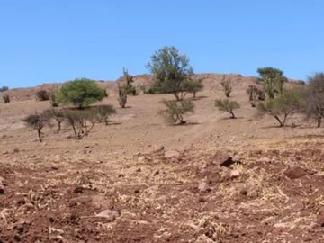 Vende parcelas en proyecto Fundo Llay Llay. De 5.000 mt2 con rol propio.