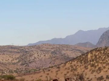 Vende parcelas en proyecto Fundo Llay Llay. De 5.000 mt2 con rol propio.