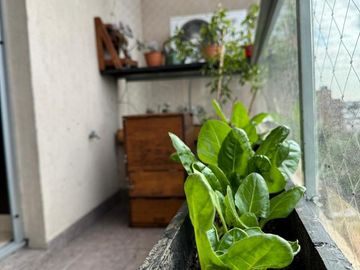Departamento 3 ambientes en Haedo