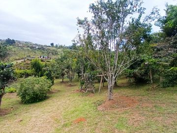 Venta Finca En El Carmen Km.30 Via Al Mar. Lote 4.500 Mtrs. Dagua