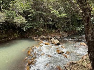 Venta Finca En El Carmen Km.30 Via Al Mar. Lote 4.500 Mtrs. Dagua