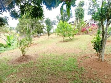 Venta Finca En El Carmen Km.30 Via Al Mar. Lote 4.500 Mtrs. Dagua