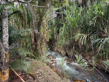 Venta Finca En El Carmen Km.30 Via Al Mar. Lote 4.500 Mtrs. Dagua