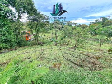 VENDO.CASA Y LOTE.DE 2000MTS COORDILLERA