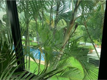 Casa en venta en Las Cañadas