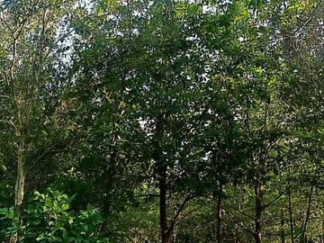 Rancho en venta en Cadereyta Jiménez, Nuevo León