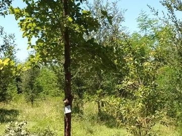 Rancho en venta en Cadereyta Jiménez, Nuevo León