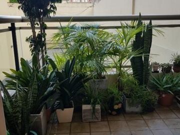 Caballito Venta Centenera y Goyena 3 Ambientes Nuevo Patio Luminoso Coch Fija