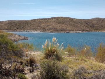 Campo en venta