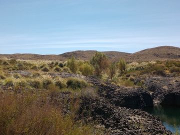 Campo en venta