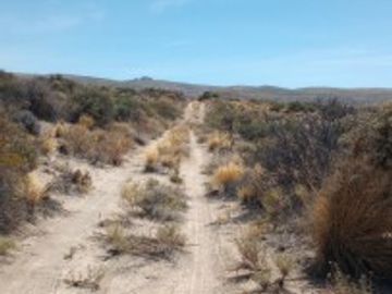 Campo en venta