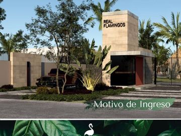 Casas en Venta en Real Flamingos – Bucerías, Nayarit