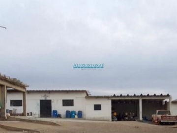 Terrenos Agricolas Venta CAL. Vinchamarca Chica - MORO