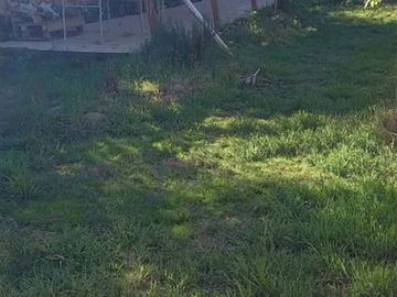 Casa en Venta en CERCA DEL SUPERMERCDO ACUENTA