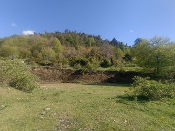 VISTA DE ENSUEÑO AL LAGO RIÑIHUE