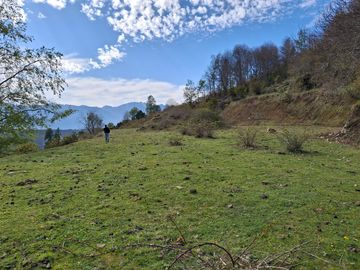 VISTA DE ENSUEÑO AL LAGO RIÑIHUE