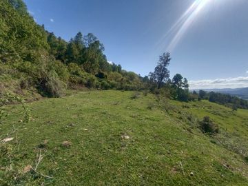 VISTA DE ENSUEÑO AL LAGO RIÑIHUE