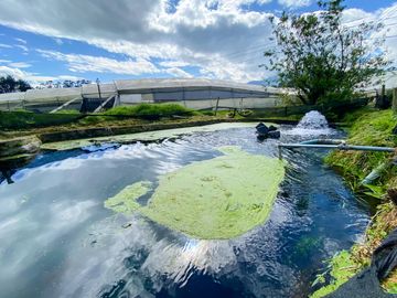 Finca en Venta 21 hectareas lista para producir agua de riego