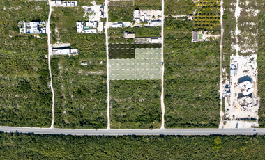 Terreno a 150 metros del mar en San Benito Yucatán