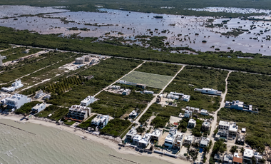 Terreno a 150 metros del mar en San Benito Yucatán