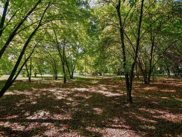 CASA EN VENTA LA PLATA SOBRE 1,6 HECTÁREAS PILETA