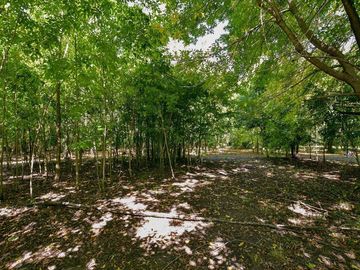 CASA EN VENTA LA PLATA SOBRE 1,6 HECTÁREAS PILETA