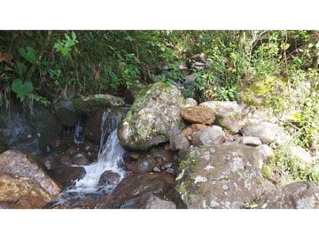 VENDO 01 HECTAREA TITULADA Y CON AGUA VIVA ALTO  BOQUETE