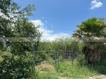 Campestre Camino a San Isidro