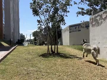 DEPARTAMENTO EN VENTA 85m2 SAN ISIDRO DEL INCA