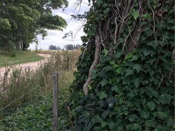 Venta campo agricola en Miramar, General Alvarado