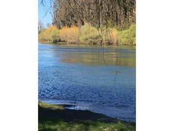 VENDO PARCELA CON SALIDA A RÍO CALLE CALLE, LOS LAGOS, VALDIVIA