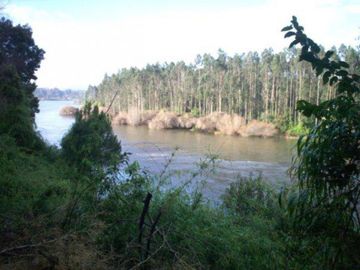 VENDO PARCELA CON SALIDA A RÍO CALLE CALLE, LOS LAGOS, VALDIVIA