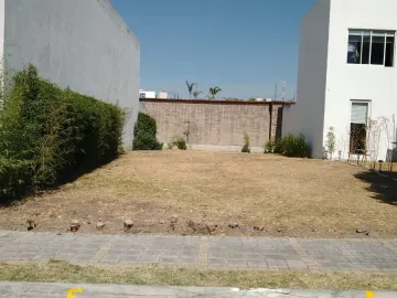 Terreno en venta en Lomas de Angelópolis, San Andrés Cholula, Puebla